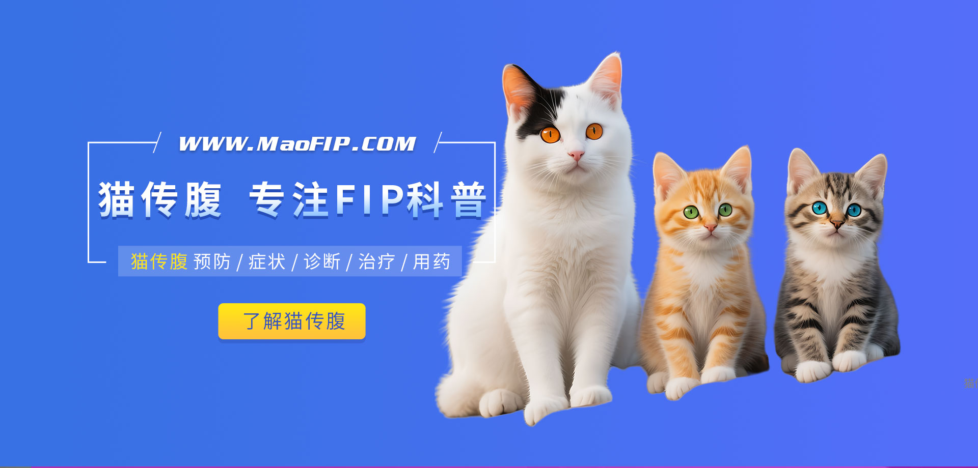 猫传腹官网